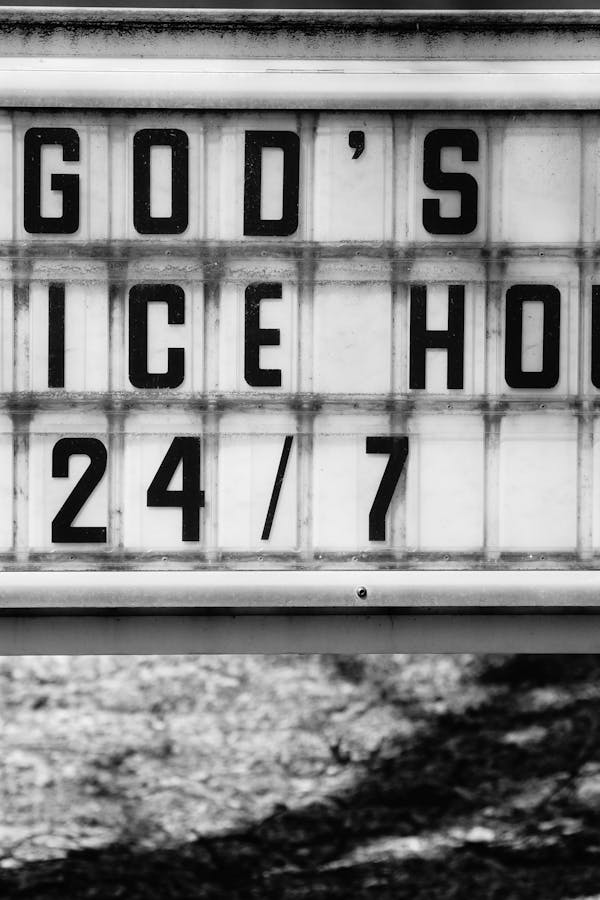 pexels-photo-16023863